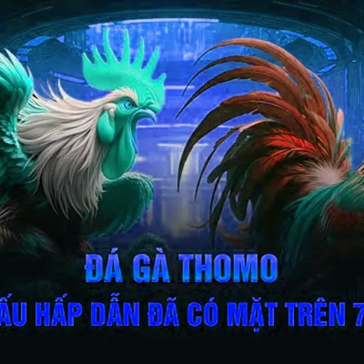 Đá Gà 8XBET